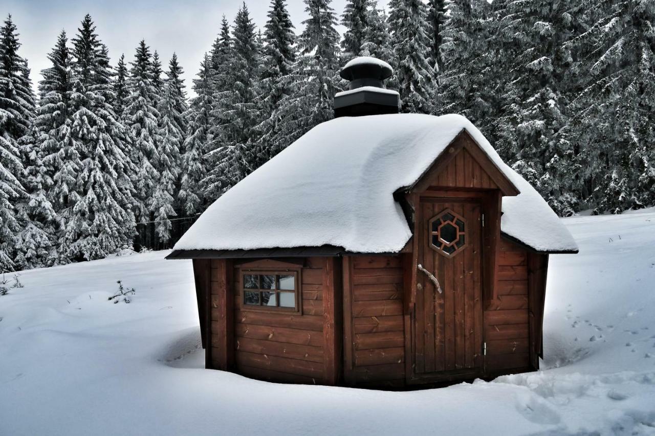 Cihlářka - horský apartmán 103 Černý Důl Exteriér fotografie